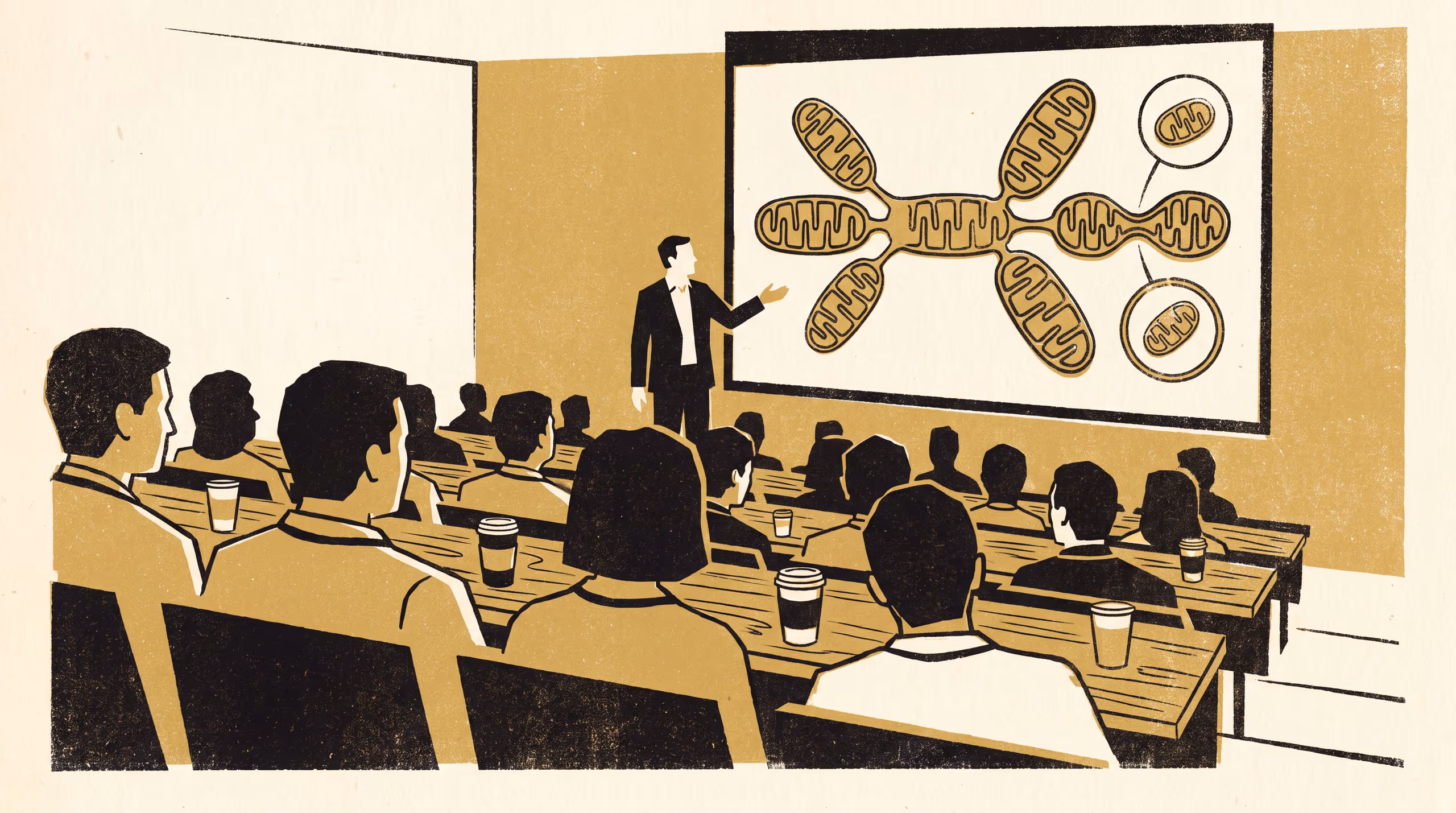 Illustration for Fuse. Divide. Retire what no longer performs.: A landscape campaign for the spring intake of Improving Improvement, set in a seminar room before a diagram of a branching mitochondrial network