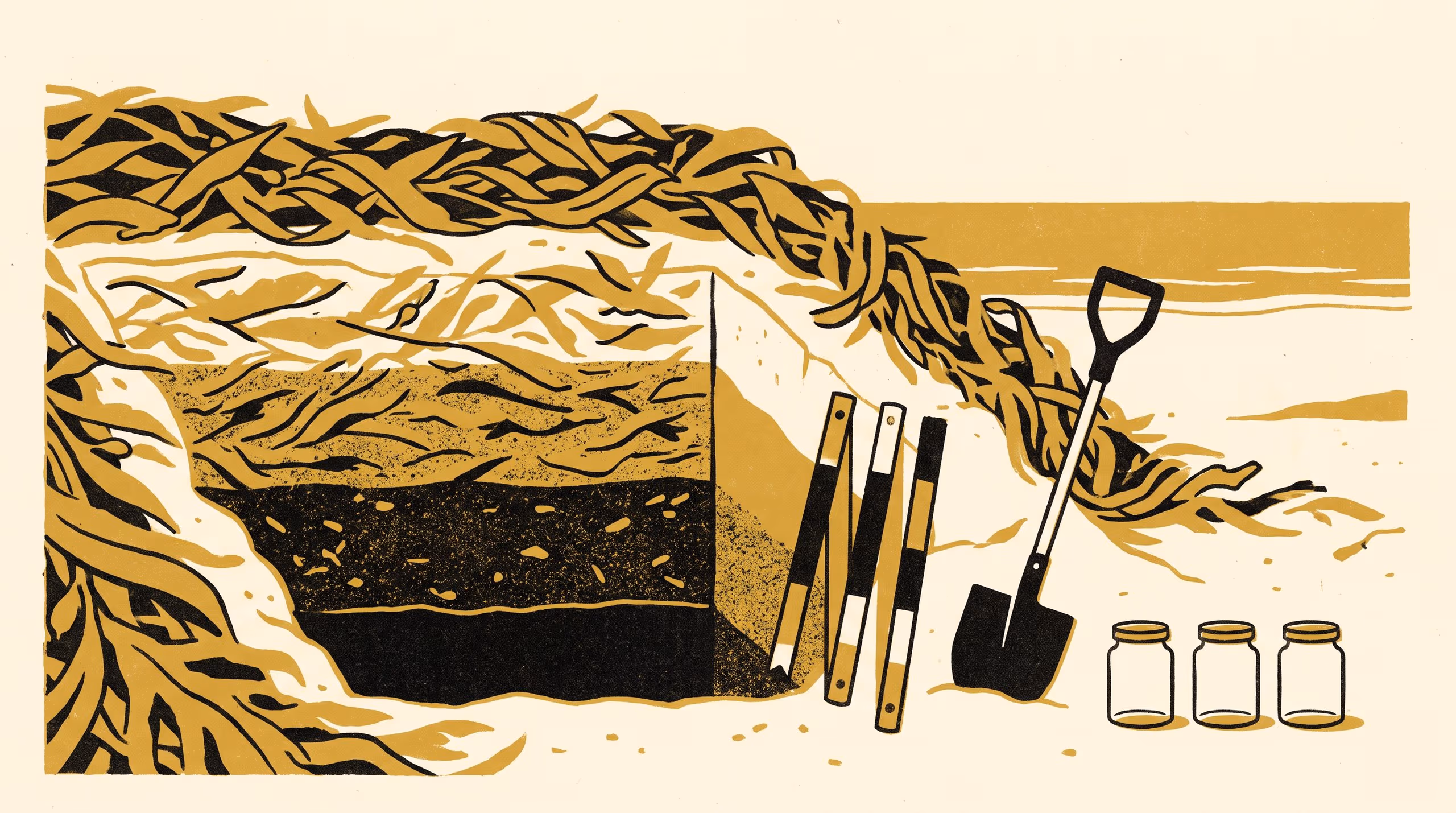 Illustration for What the Tide Leaves Has Layers: A portrait research-teaser campaign for the School of Underlying Conditions, built around its soil-survey description of one winter's bank of stranded kelp