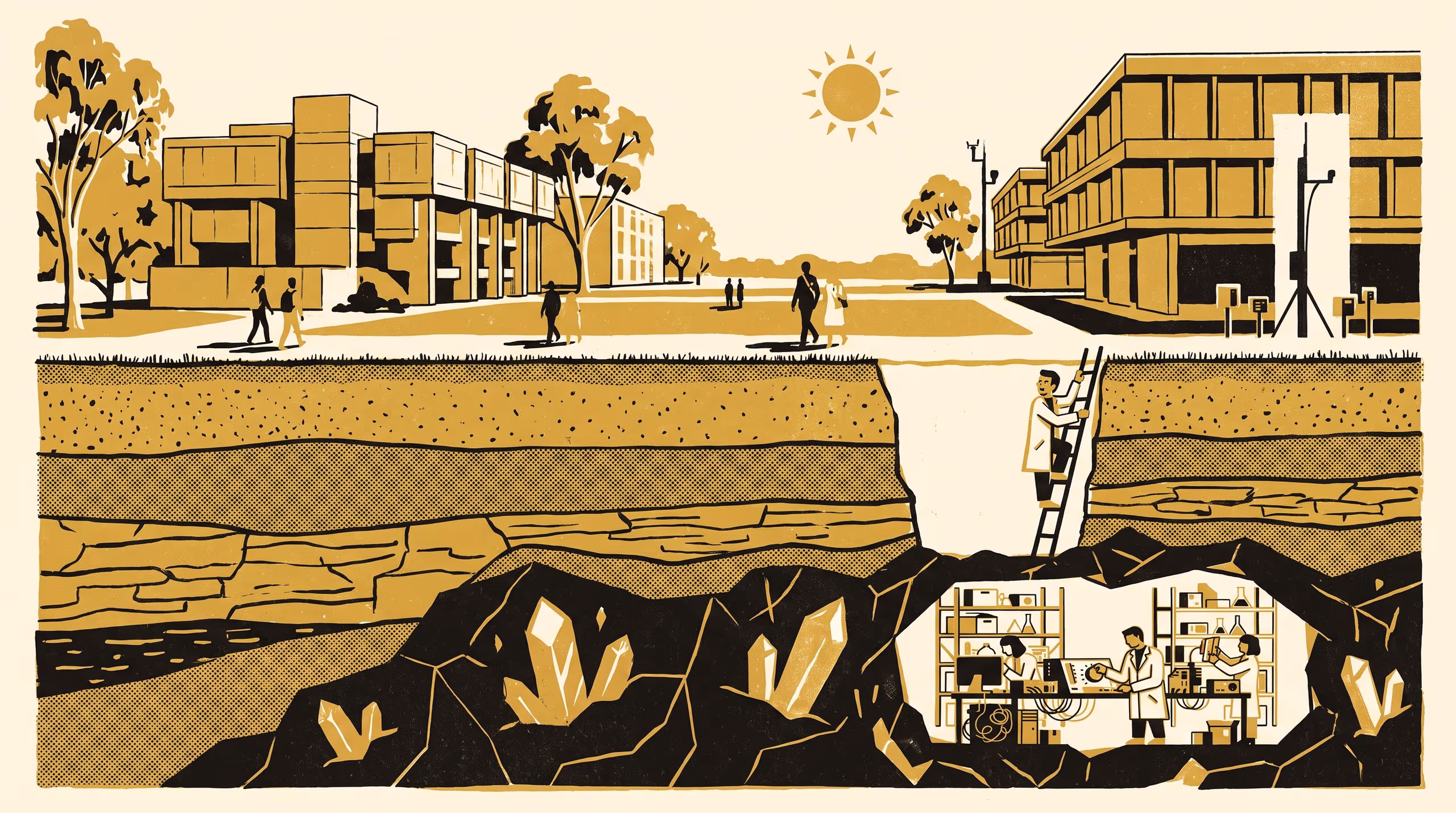 Illustration for Dig Across: Come and see