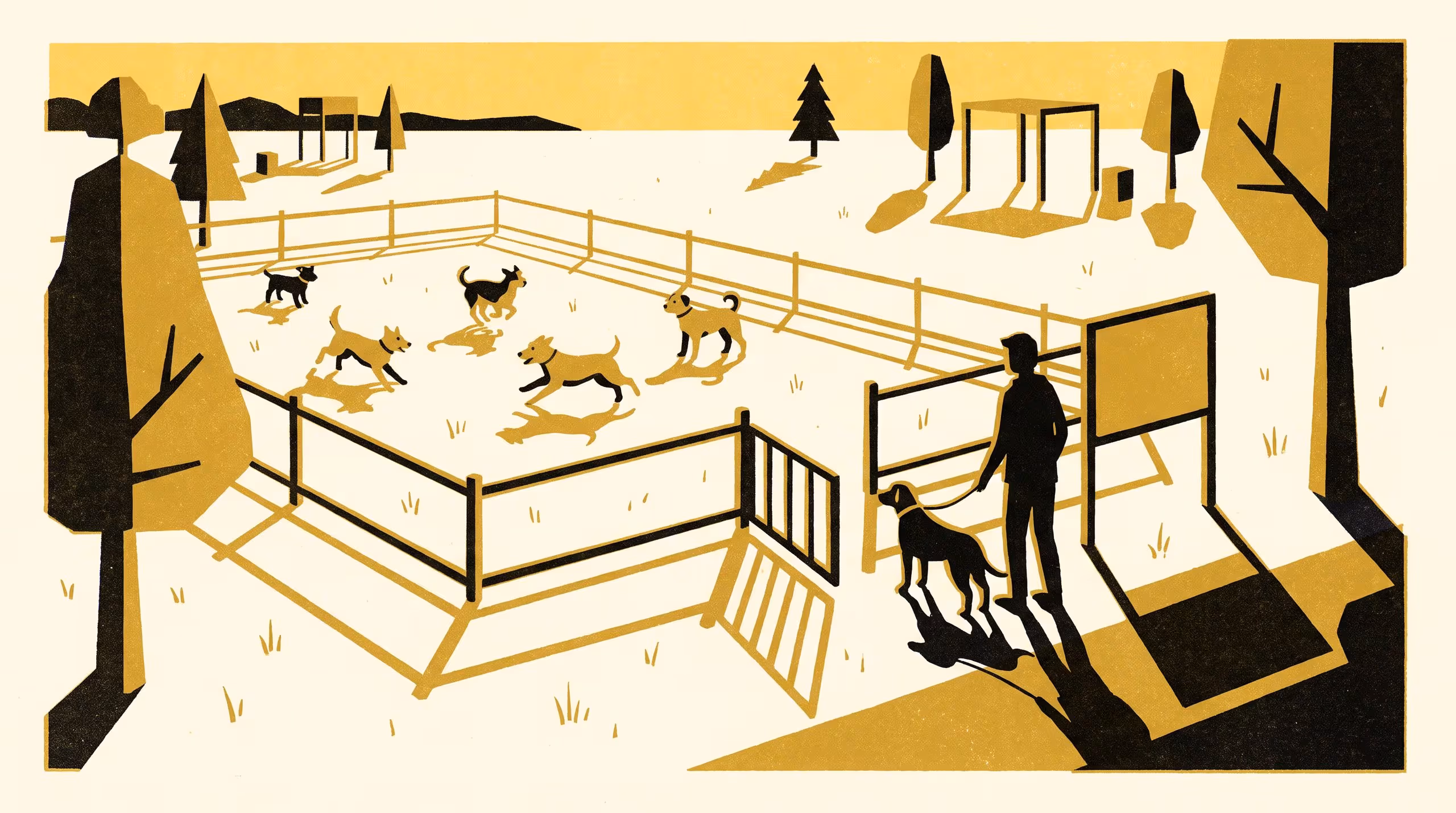 Illustration for Same Sign, Different Reading: A Thematic Analysis of Off-Leash Compliance Justifications at a Suburban Dog Park