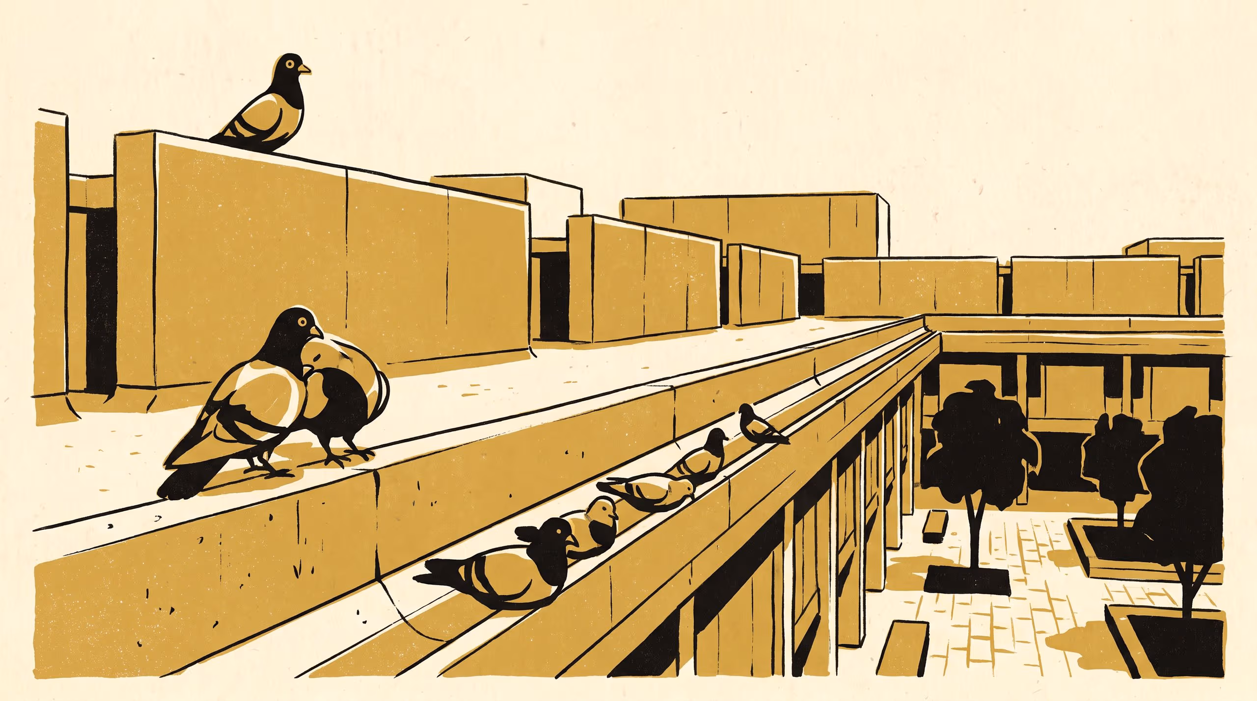 Illustration for The Courtyard Pigeon as Eligibility Device: Four Loafing Kinds and a Seed-Grant Floor