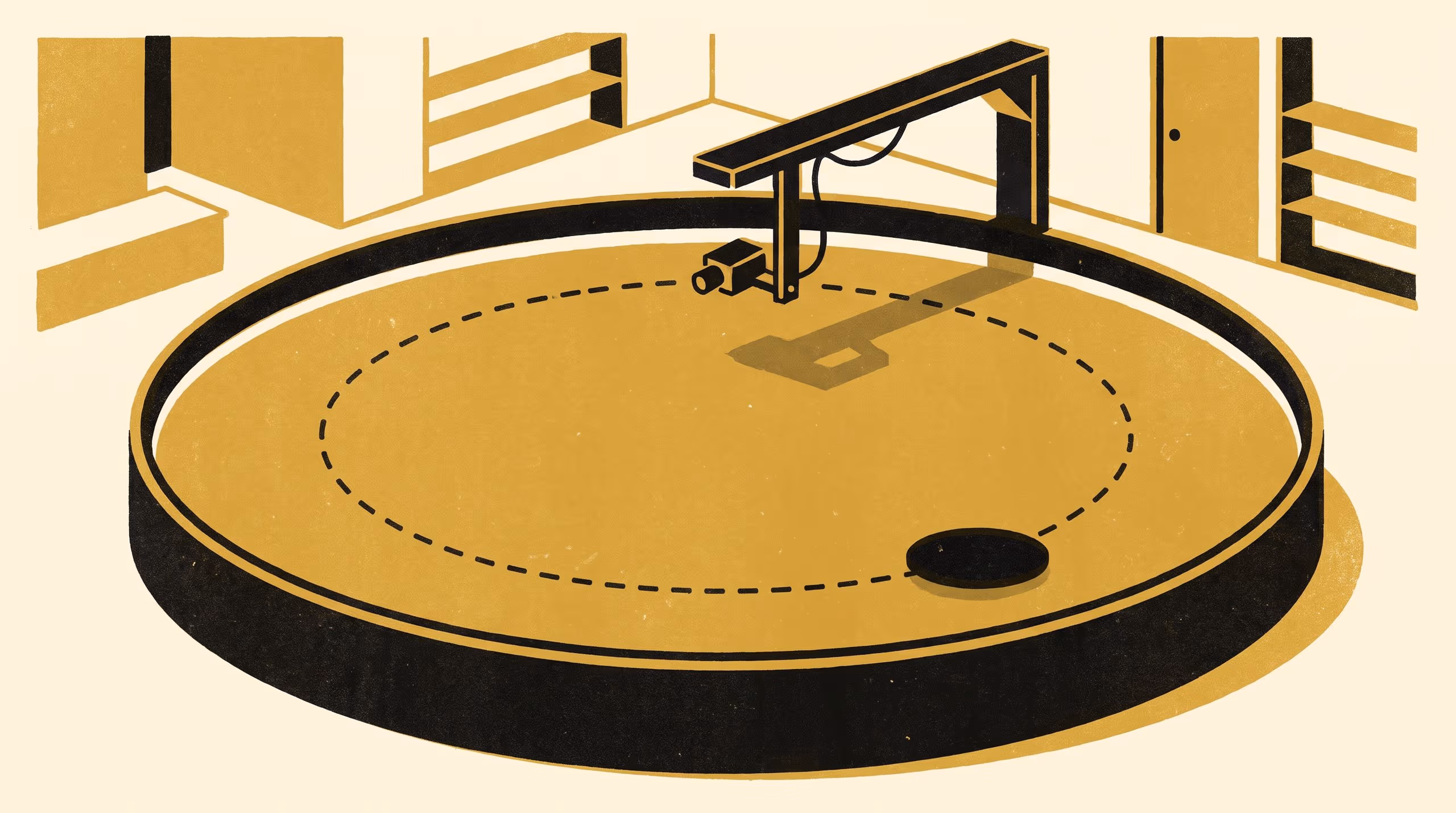 Illustration for The Ring at Thirty Centimetres: Search Strategy in a Hypoperfusion Cohort That Reached Control Latencies in the Water Maze