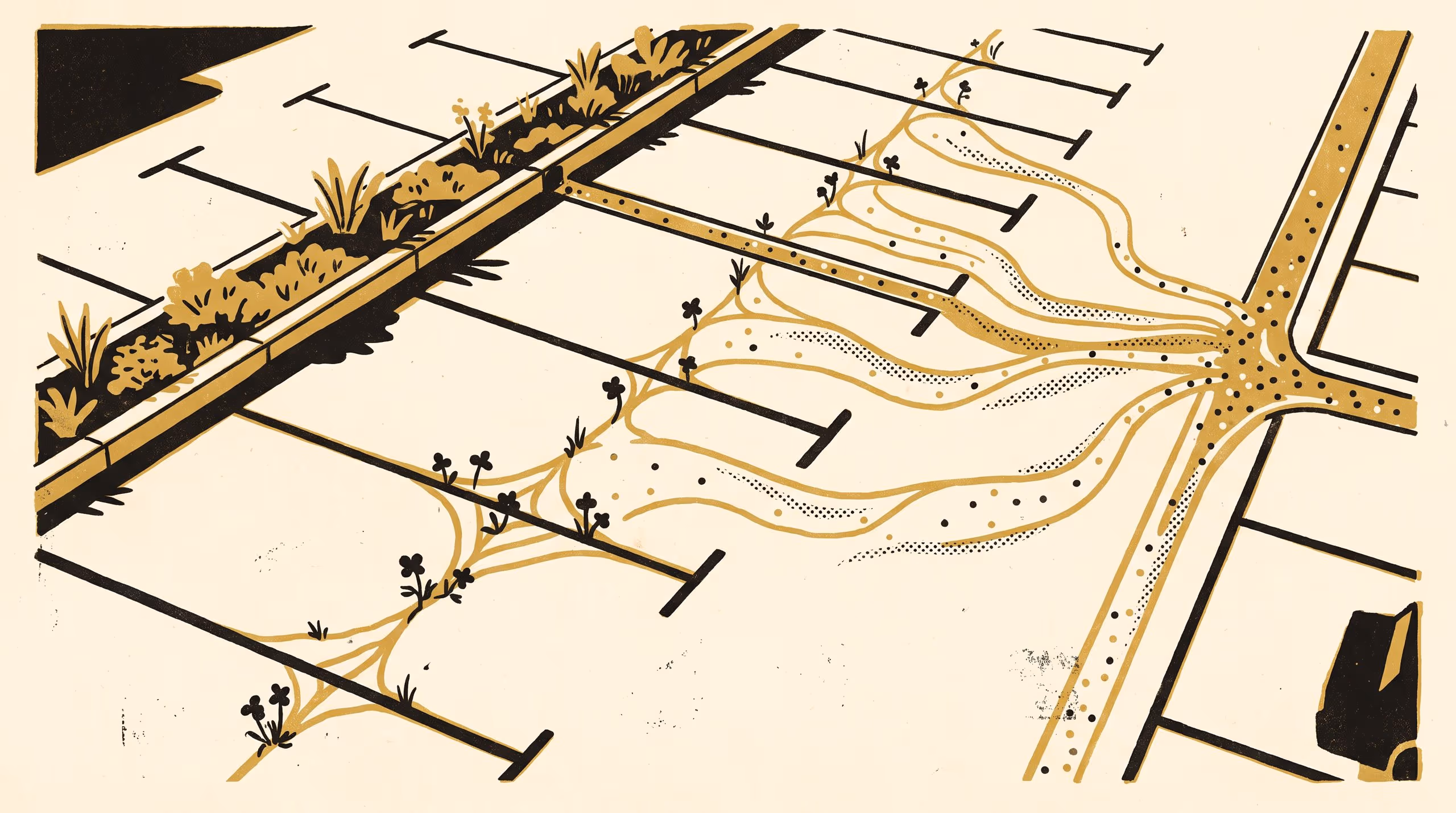 Illustration for Rhizobia Arrive by the Gutter: Nodulation of Volunteer White Clover and Burr Medic Rooted in the Pavement Joints of a Sealed Car Park