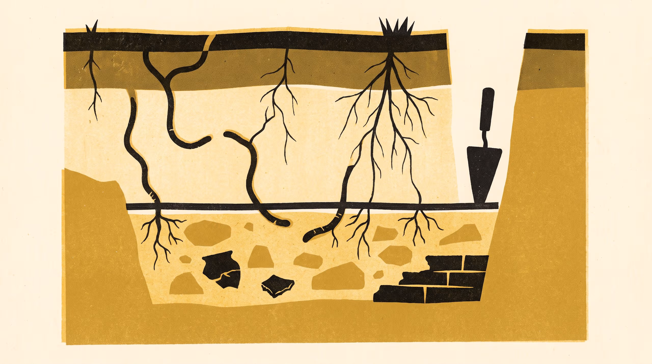 Illustration for Twenty-Two Years Temporary: Soil Formation in the Protective Backfill of a Reburied Excavation, and the Stratigraphic Status of the Cover