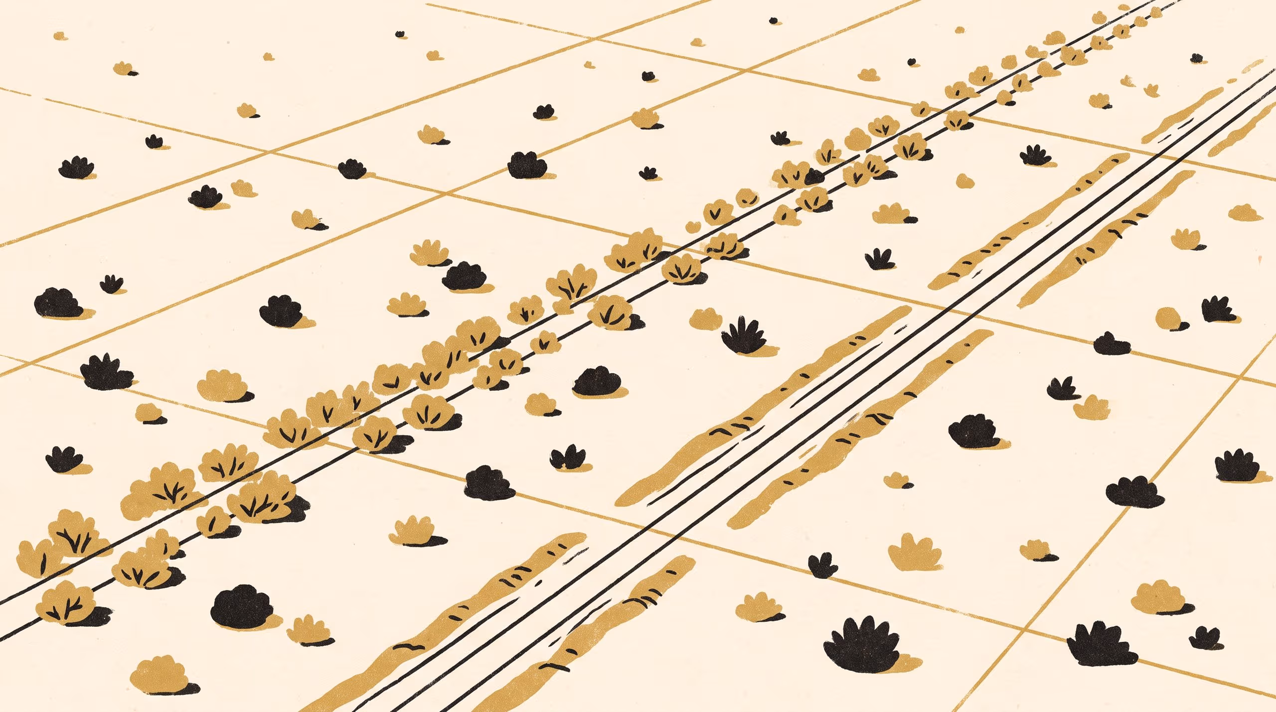 Illustration for Thirty-One Years on the Cut Line: Shrub Regrowth across an Abandoned Seismic Survey Grid in a Semi-Arid Shrubland