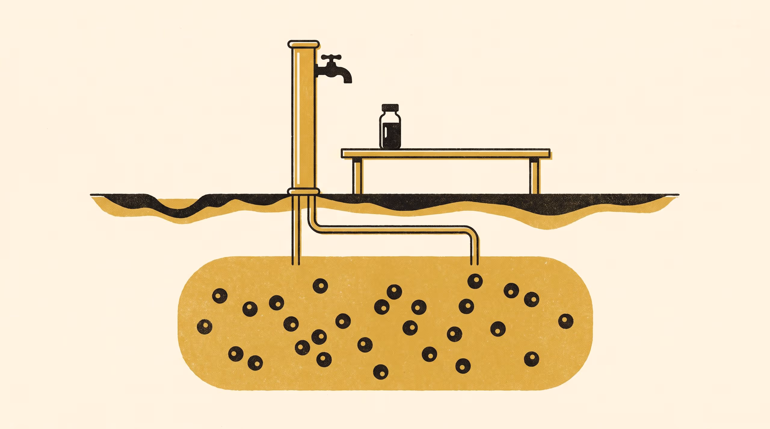Illustration for The Shape but Not the Size: What Blood Sampling Alone Can Identify About the Tissue Pool of Adoptively Transferred Lymphocytes