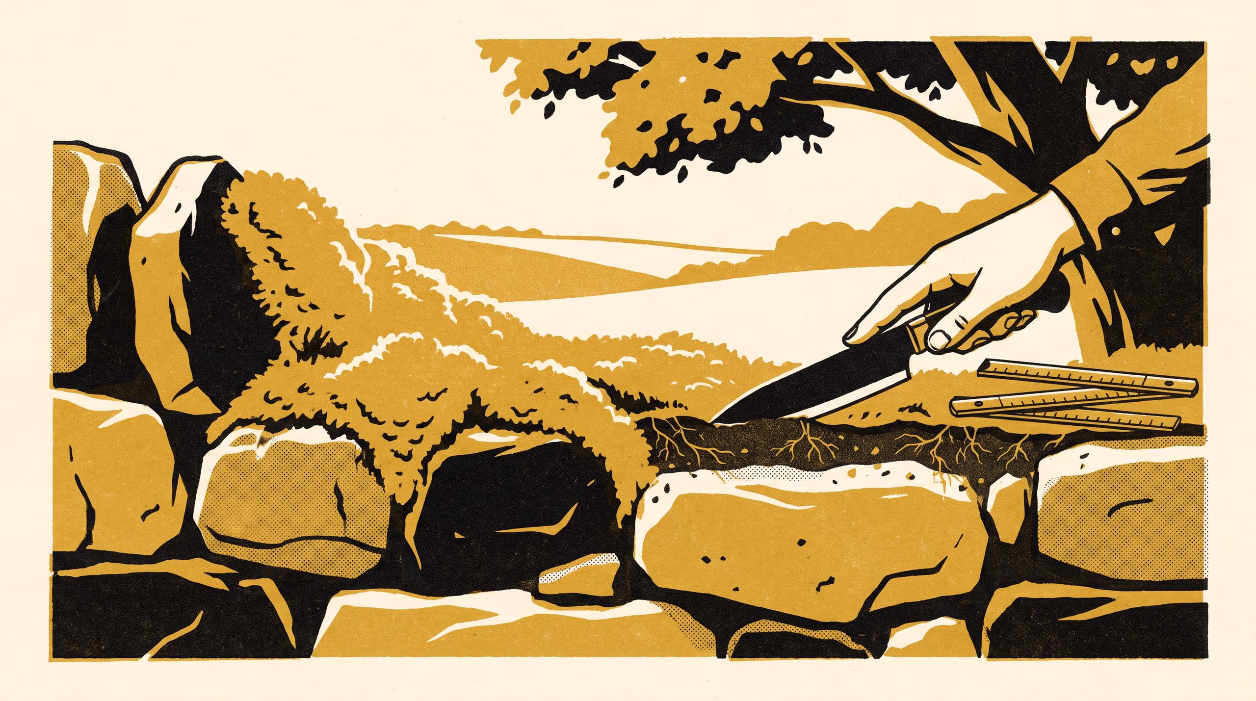 Illustration for The Wall as Parent Material: Decay, Formation and the Sign of Weathering in Two Sciences