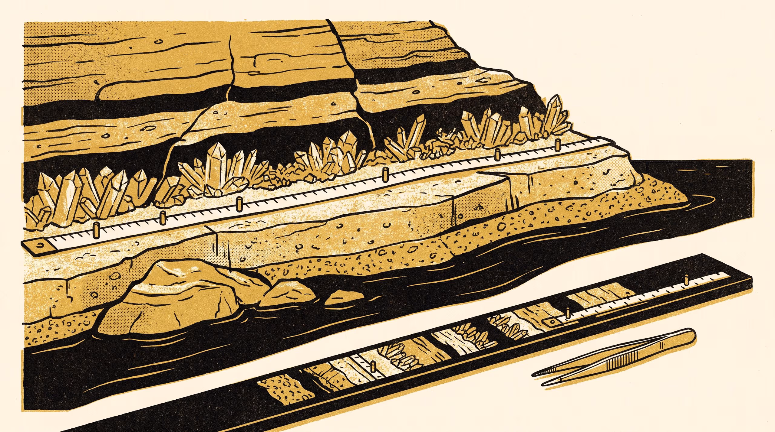 Illustration for A Shore Forty Millimetres Long: Morphotype Zonation along a Furnace Gradient on One Oxide Growth Strip