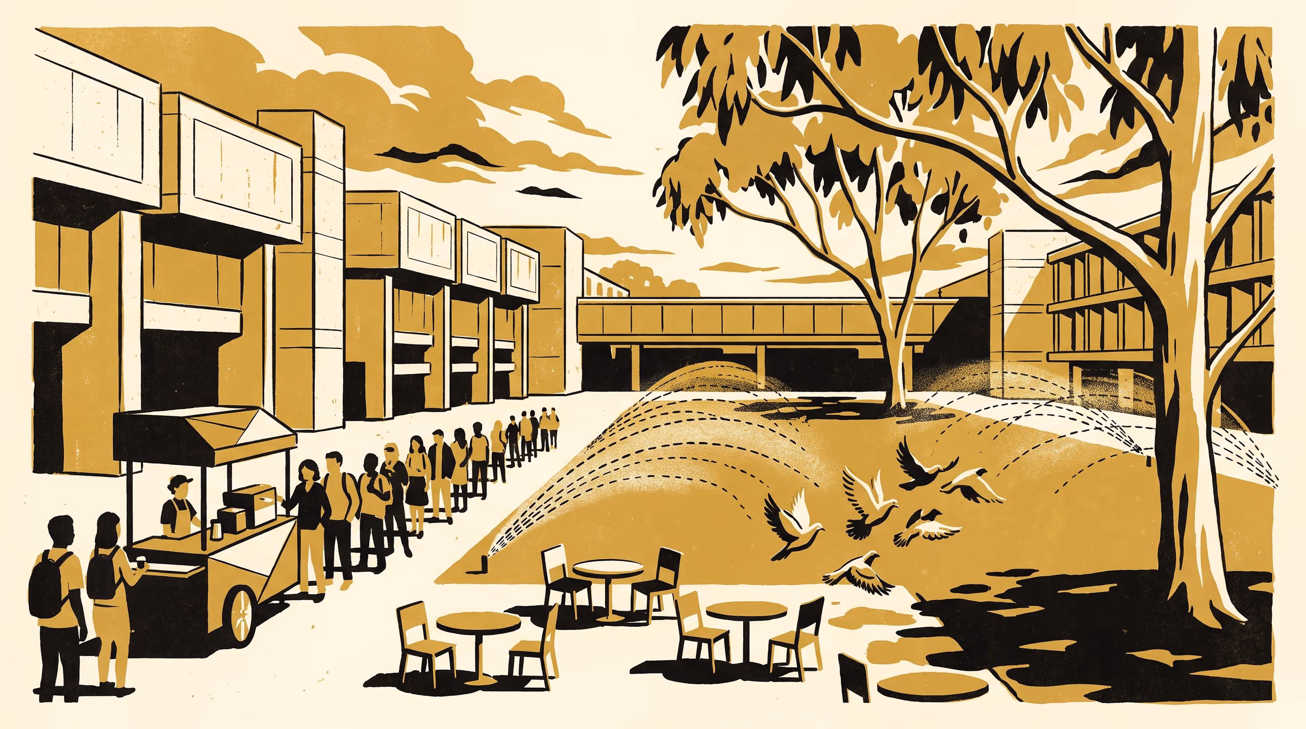 Illustration for "Ration Set by Index": Coffee-Queue Seating and Biscuit-Tin Spillover Fail to Replicate at a Second Courtyard