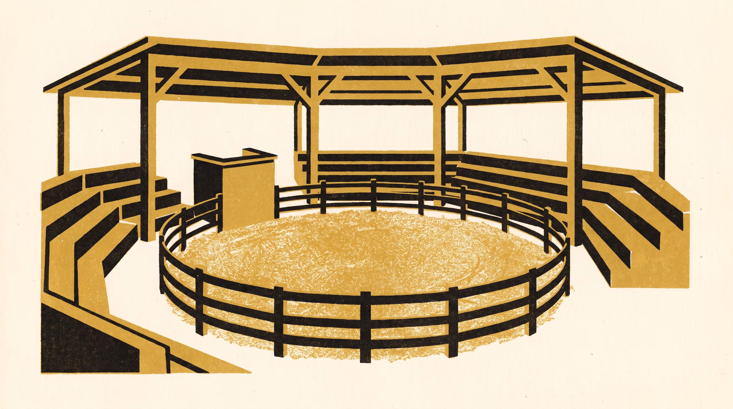 Illustration for The Price Is Called from Above: A provincial New Zealand stock saleyard, read in plan and section