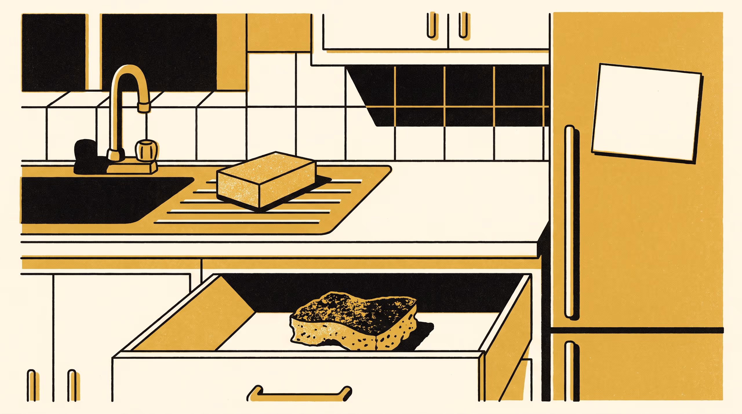 Illustration for When Is a Kitchen Sponge Mature Enough to Throw Away?: A five-level replacement ladder, and the kitchens it certifies as teaching sites