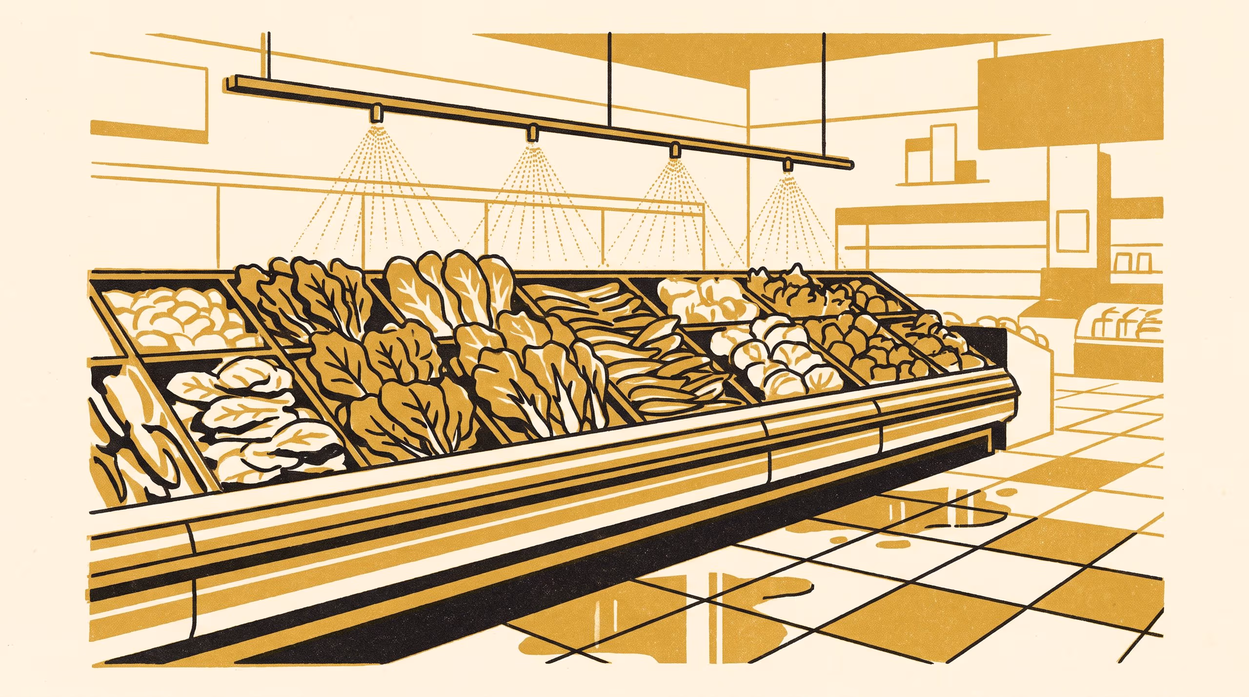 Illustration for Notes on the Empty Mist: a four-cell occupancy matrix for supermarket produce misting