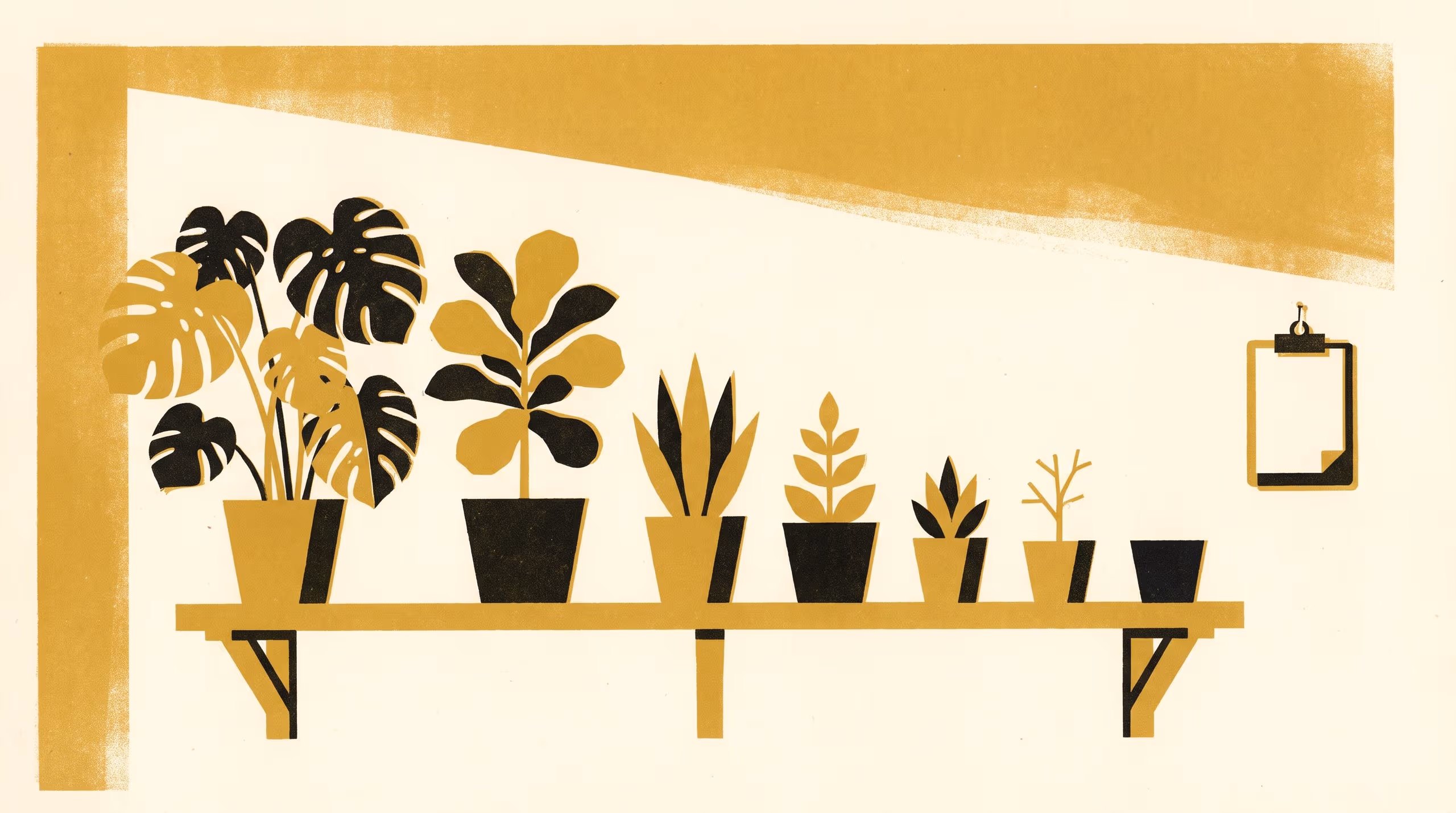 Illustration for A Third of Household Houseplants Are Dead or Dying at Any Given Time: A household survey of plant survival across 284 homes, and what happens once someone is named responsible.
