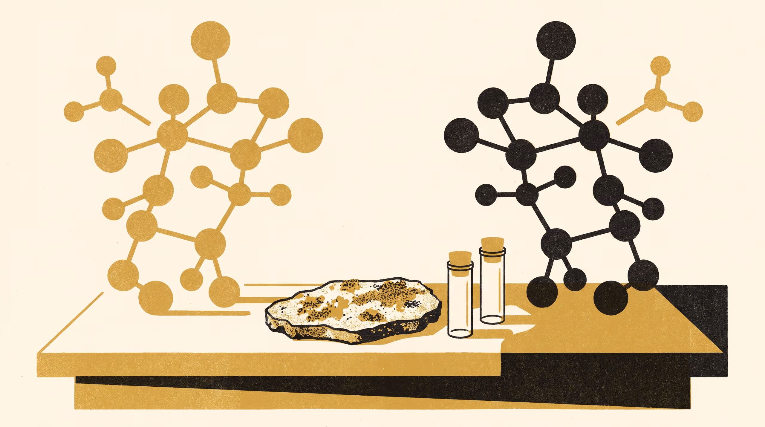 Illustration for The Proposed Structure Is Not the Natural Product: Synthesis, structure revision and seedling-growth activity of a rock-lichen diaryl ether
