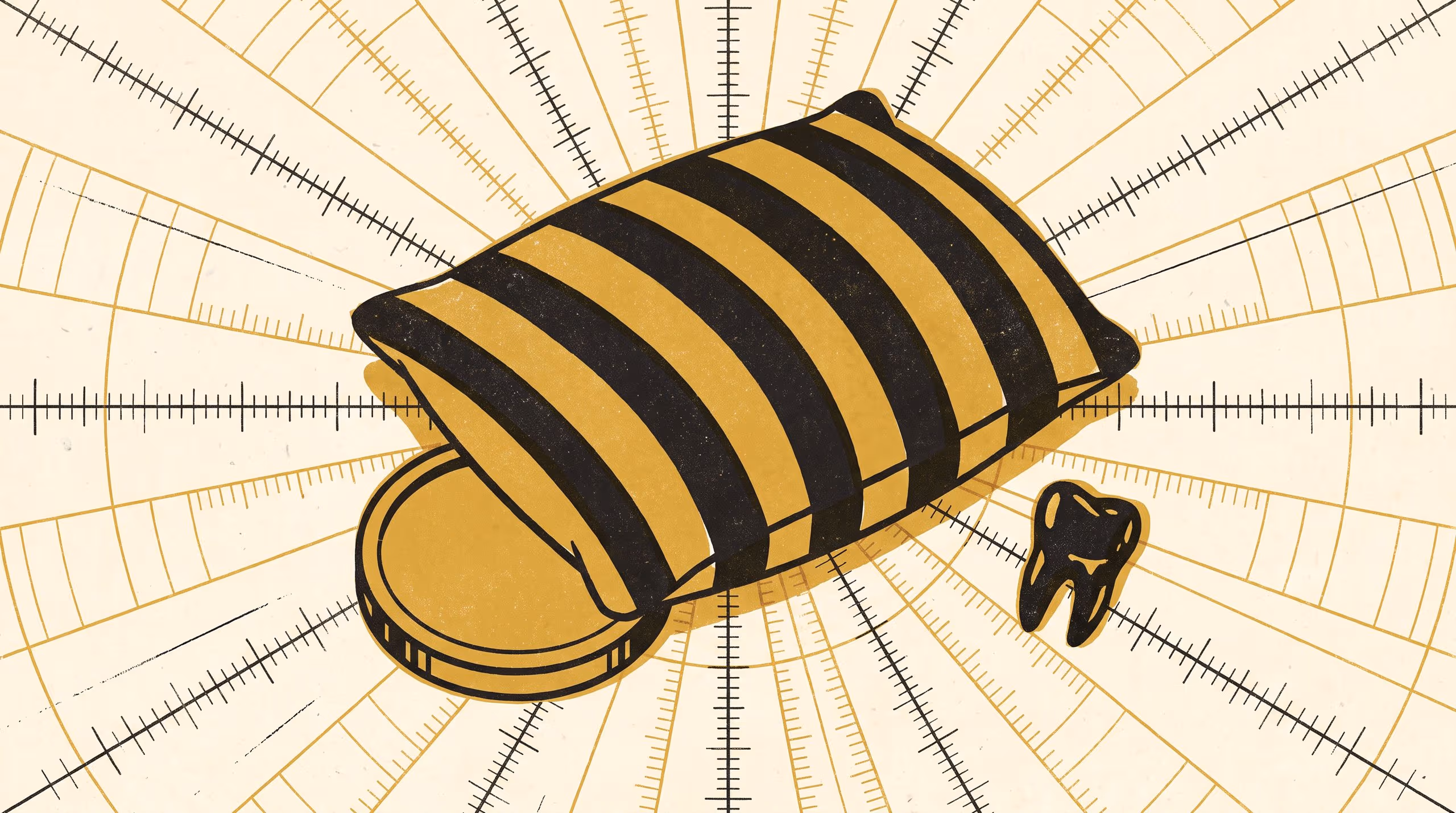 Illustration for Who Sets the Tooth Fairy's Rate?: Nominal rigidity, denomination constraints, and sibling precedent in a decade of household pillow payouts