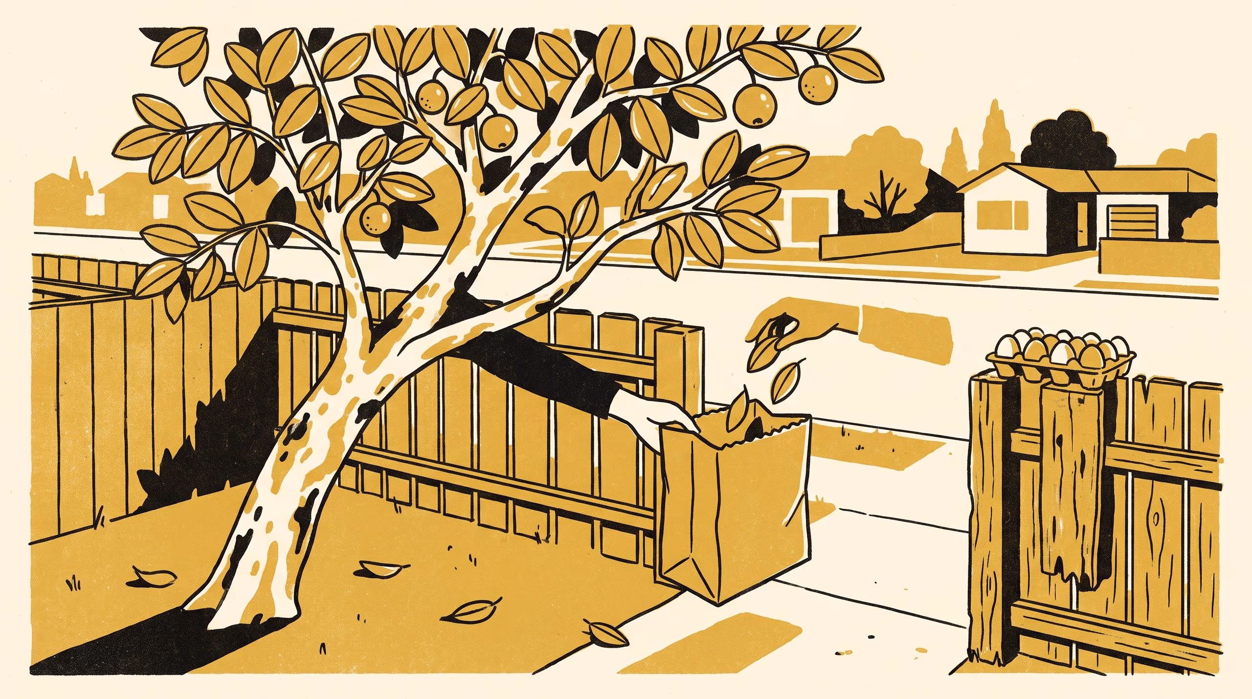 Illustration for A Few Leaves, If You Don't Mind: Asking, picking and owing around backyard guava trees on one peri-urban street