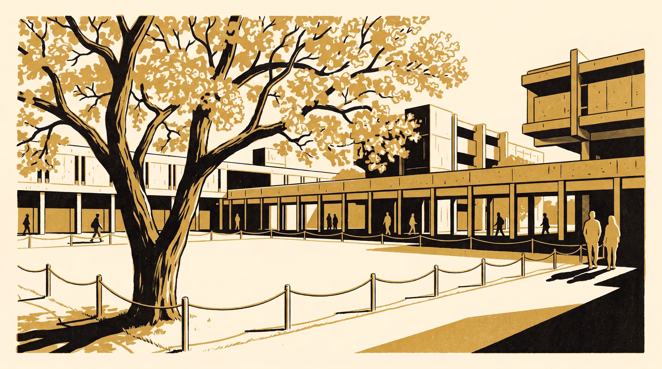 Illustration for Lecture occupancy jumps at fifty percent jacaranda bloom: A regression discontinuity at the Grounds Office's petal-slip threshold