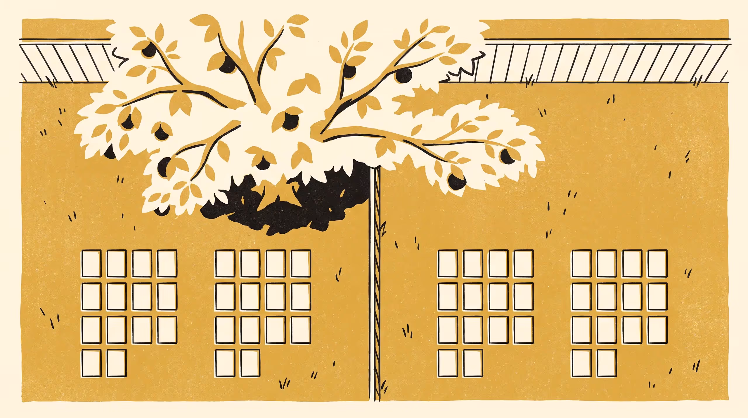 Illustration for Sorted Four Ways, Filed as One: A Q-Methodology Study of 68 Residents' Accounts of the Overhanging Branch, Against a Mediation Intake Form Carrying One Issue Type and Two Outcomes