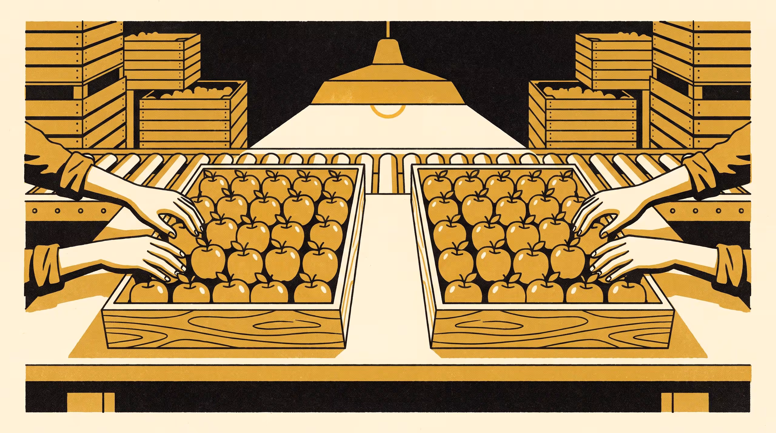 Illustration for The Same Apple, Twice: Intra-Grader Agreement on 3,880 Re-Presented Fruit Across Six Packing Sheds