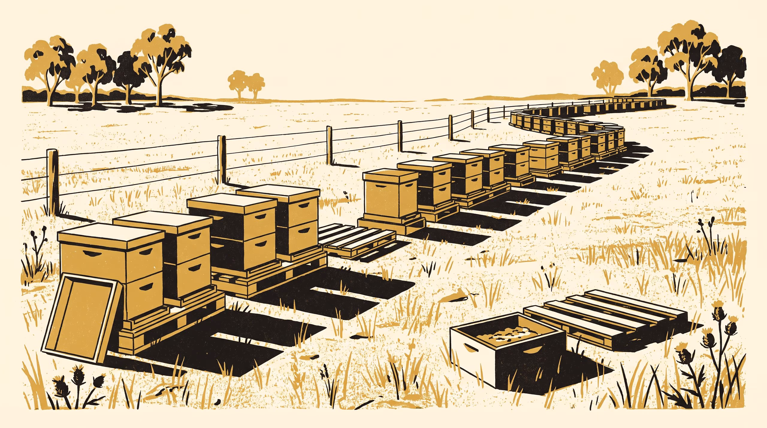 Illustration for Registered, Not Standing: A stratified field audit of 197 apiaries against the register that frames the state's pest-surveillance sample