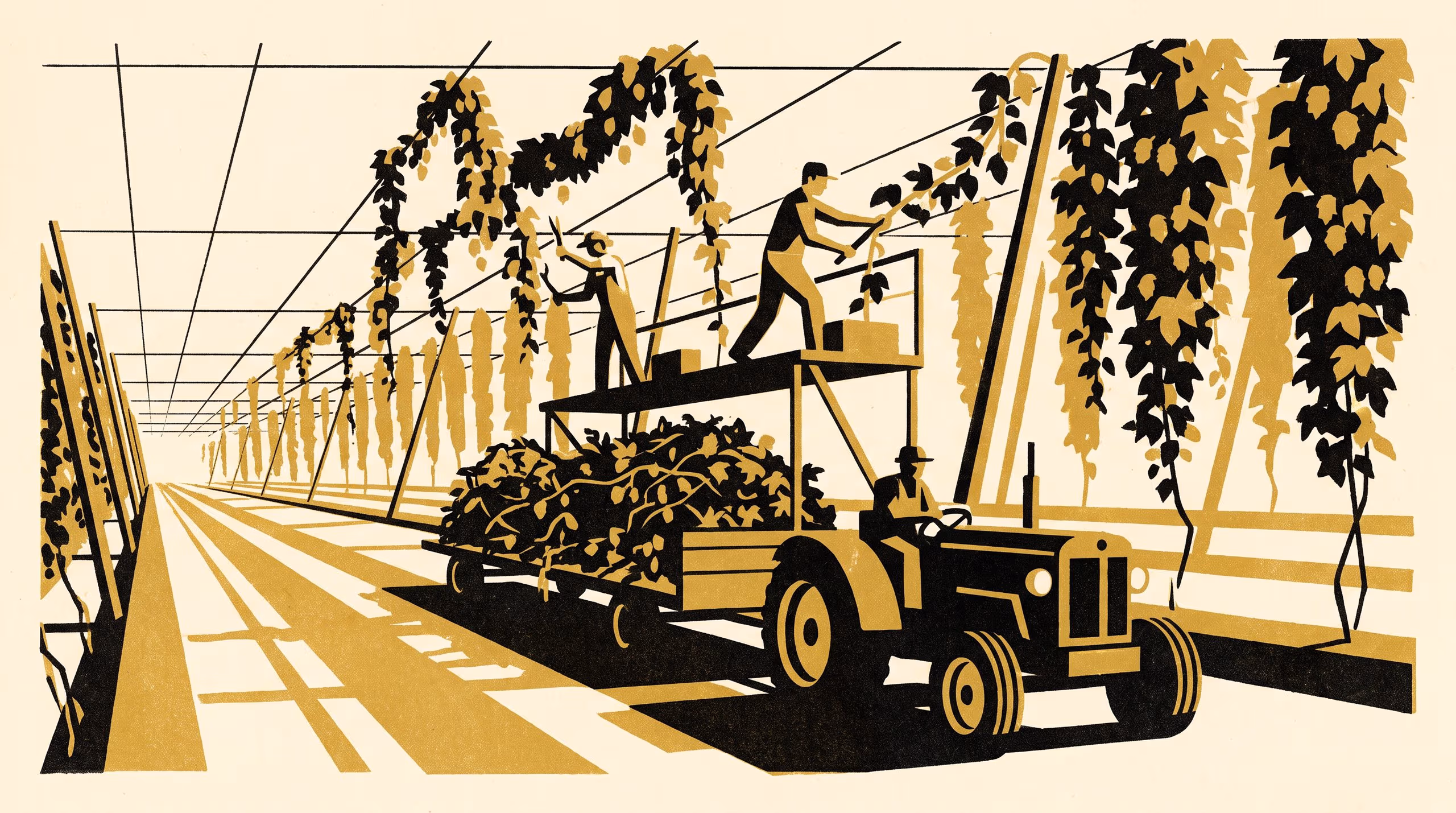 Illustration for Kept in Condition: Slop University's Strategic Plan 2026-2031 builds a hop chemistry capability that follows the hop from the garden to the bench to the cold store
